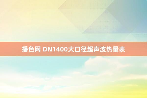 播色网 DN1400大口径超声波热量表