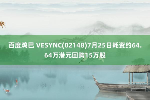 百度鸡巴 VESYNC(02148)7月25日耗资约64.64万港元回购15万股