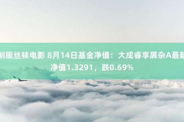 制服丝袜电影 8月14日基金净值：大成睿享羼杂A最新净值1.3291，跌0.69%