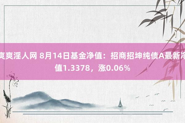 爽爽淫人网 8月14日基金净值：招商招坤纯债A最新净值1.3378，涨0.06%