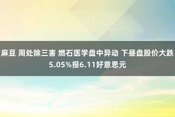 麻豆 周处除三害 燃石医学盘中异动 下昼盘股价大跌5.05%报6.11好意思元