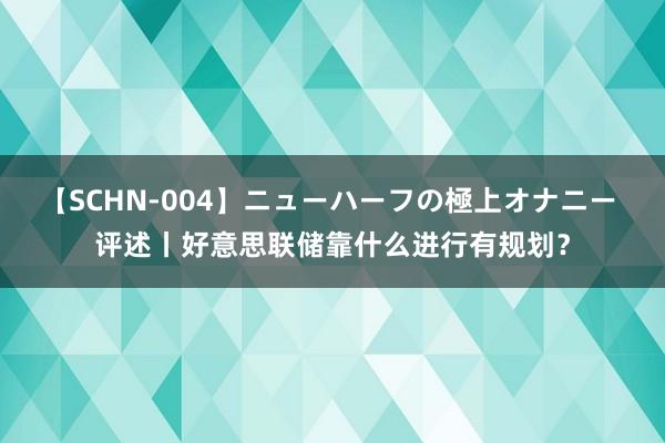 【SCHN-004】ニューハーフの極上オナニー 评述丨好意思联储靠什么进行有规划？