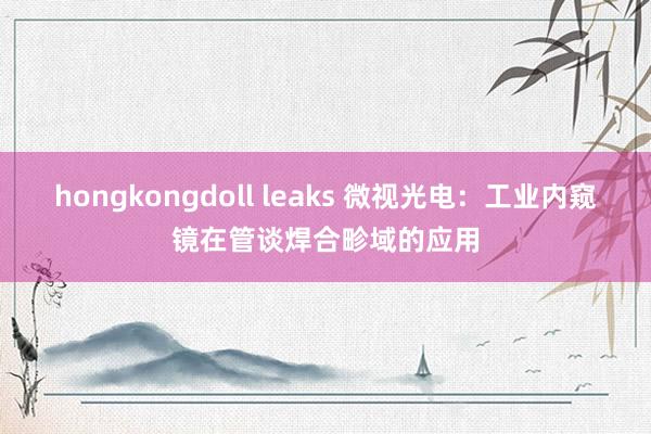 hongkongdoll leaks 微视光电：工业内窥镜在管谈焊合畛域的应用