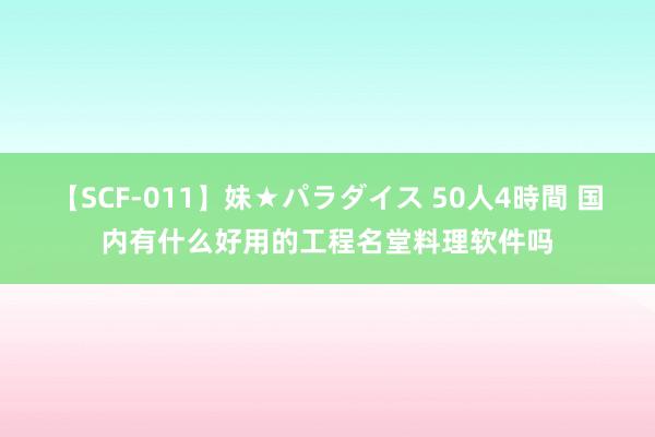 【SCF-011】妹★パラダイス 50人4時間 国内有什么好用的工程名堂料理软件吗