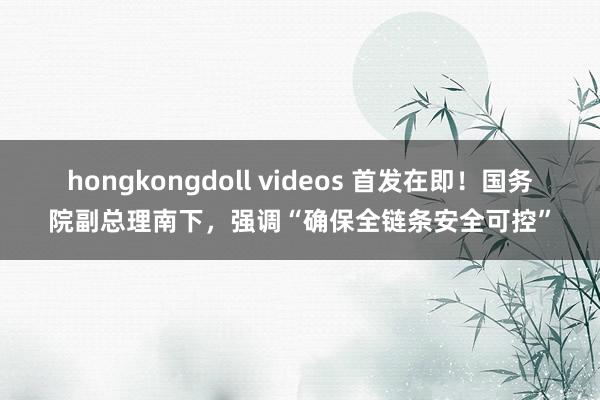 hongkongdoll videos 首发在即！国务院副总理南下，强调“确保全链条安全可控”