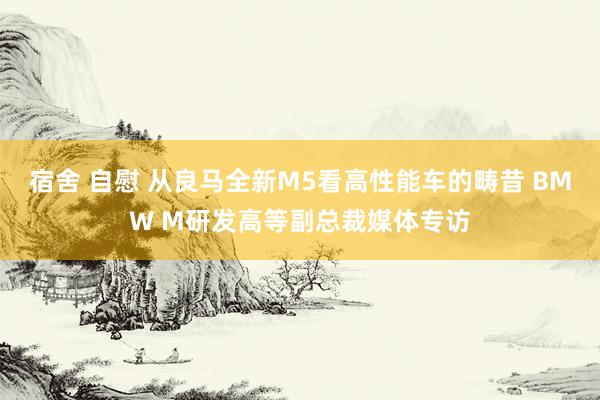 宿舍 自慰 从良马全新M5看高性能车的畴昔 BMW M研发高等副总裁媒体专访