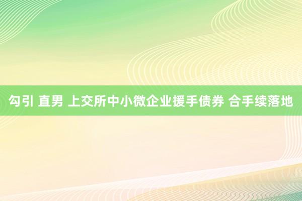 勾引 直男 上交所中小微企业援手债券 合手续落地