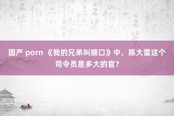 国产 porn 《我的兄弟叫顺口》中，陈大雷这个司令员是多大的官？