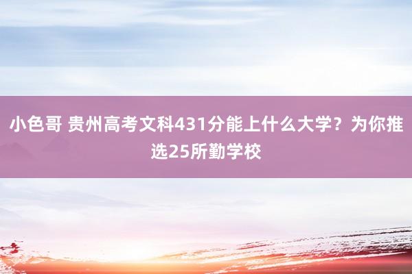 小色哥 贵州高考文科431分能上什么大学？为你推选25所勤学校