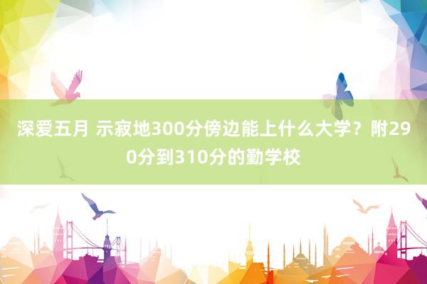 深爱五月 示寂地300分傍边能上什么大学？附290分到310分的勤学校