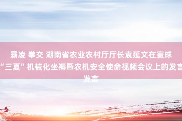 霸凌 拳交 湖南省农业农村厅厅长袁延文在寰球“三夏”机械化坐褥暨农机安全使命视频会议上的发言