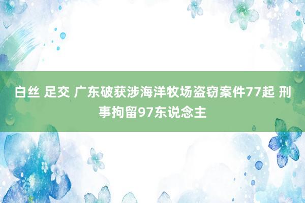 白丝 足交 广东破获涉海洋牧场盗窃案件77起 刑事拘留97东说念主